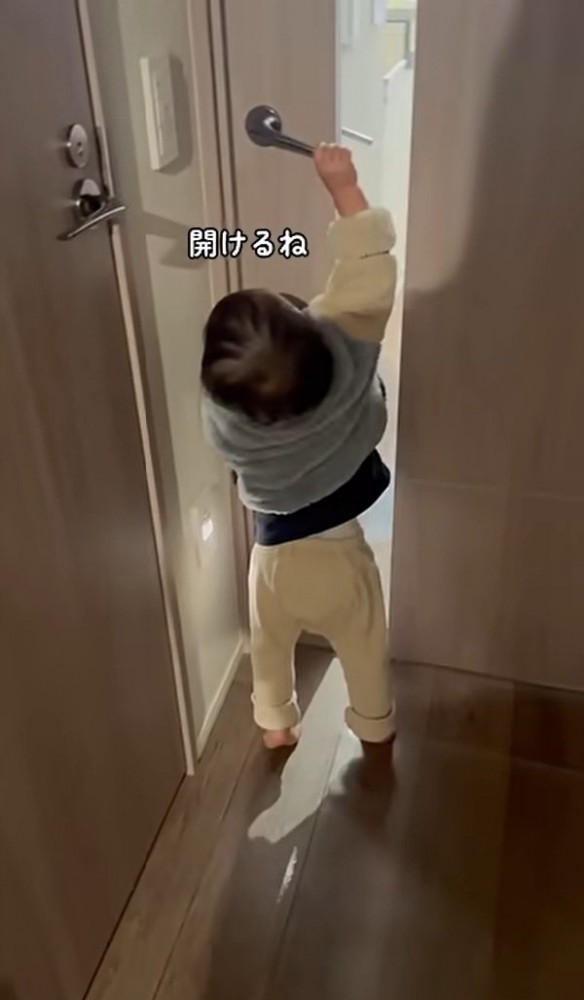 扉を開けようとする弟くん