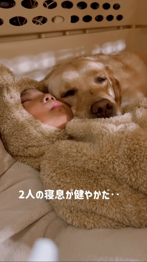 寝息を立てて寝る犬と男の子