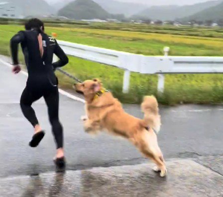 雨の日はテンション最高潮!!