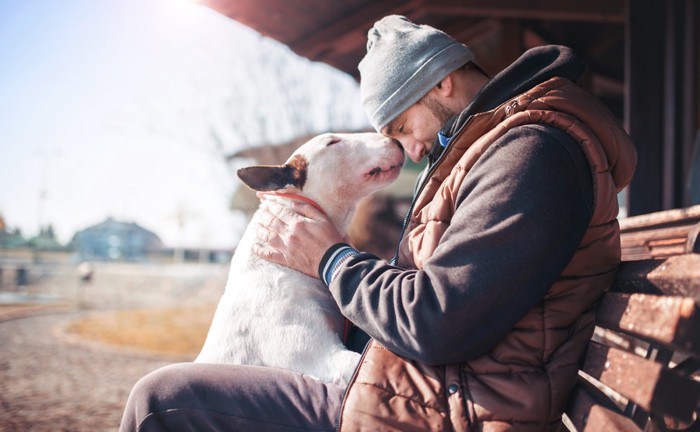 犬と男性