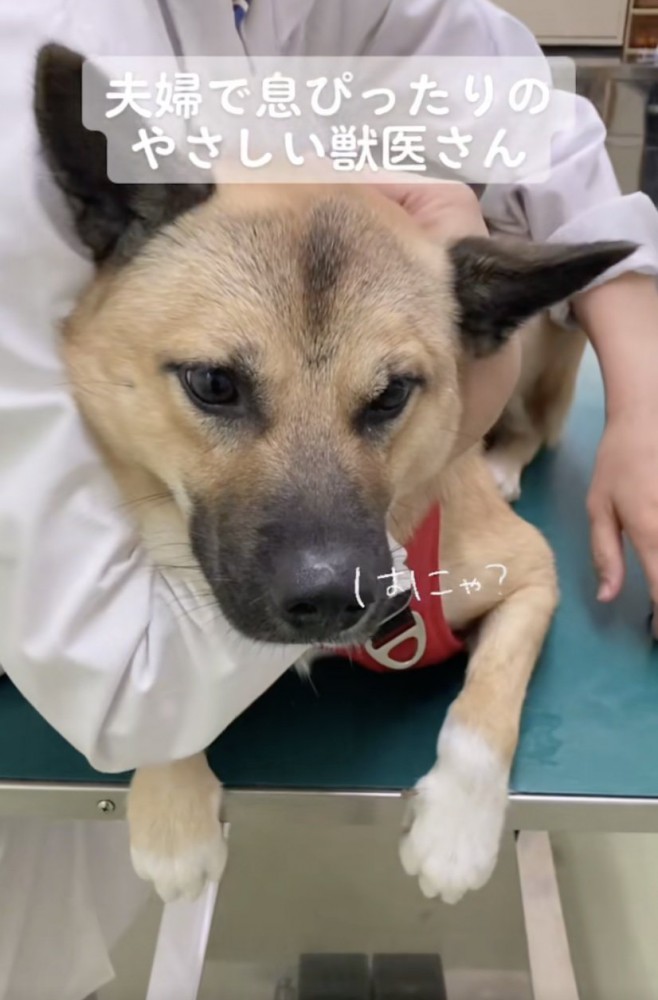 完璧にフォローしてもらいました！