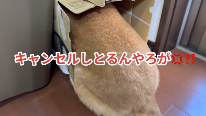 「キャンセルしとるやろが！」