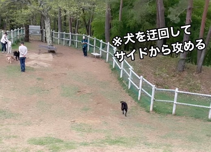 犬たちを避けながら駆け寄っていくビリーくん