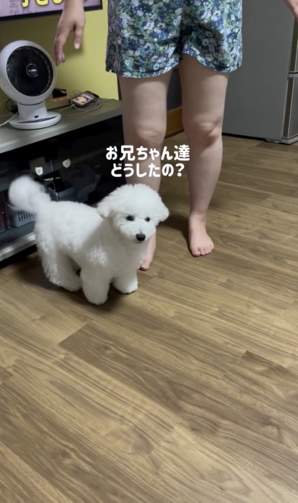 大丈夫かな…