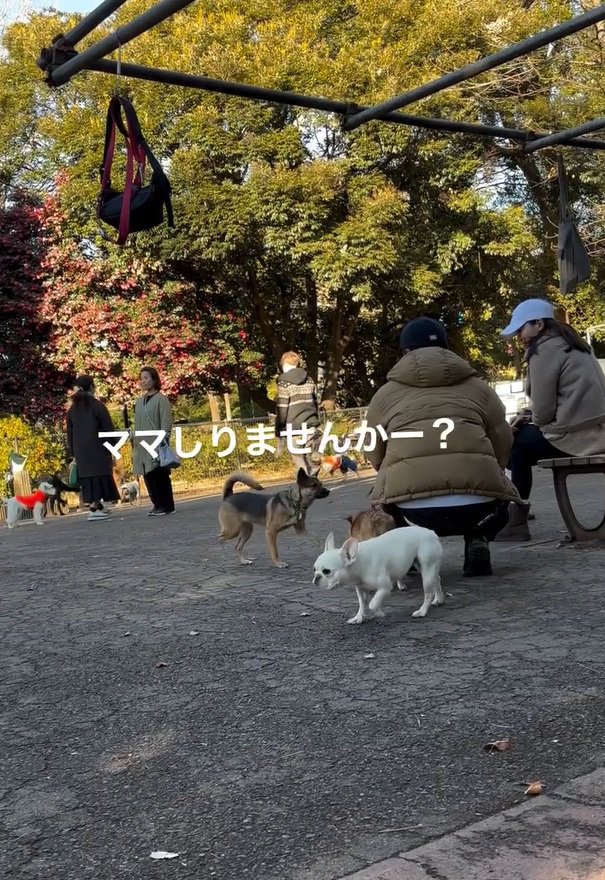 ほかの人に尋ねるカッパちゃん