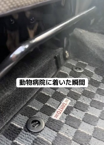 病院嫌いのお殿くん