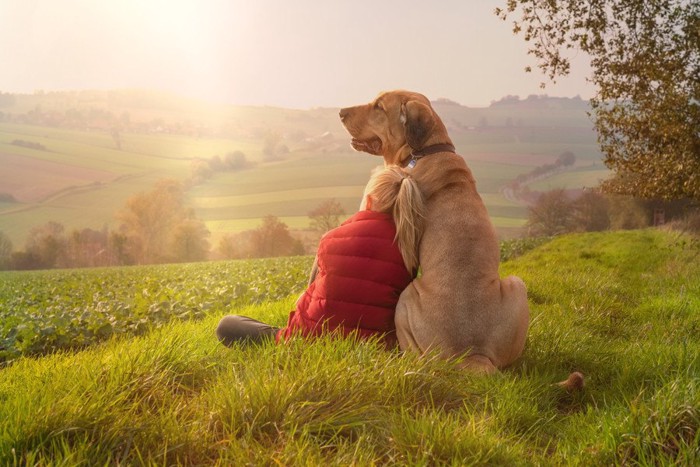 仲良しな人と犬