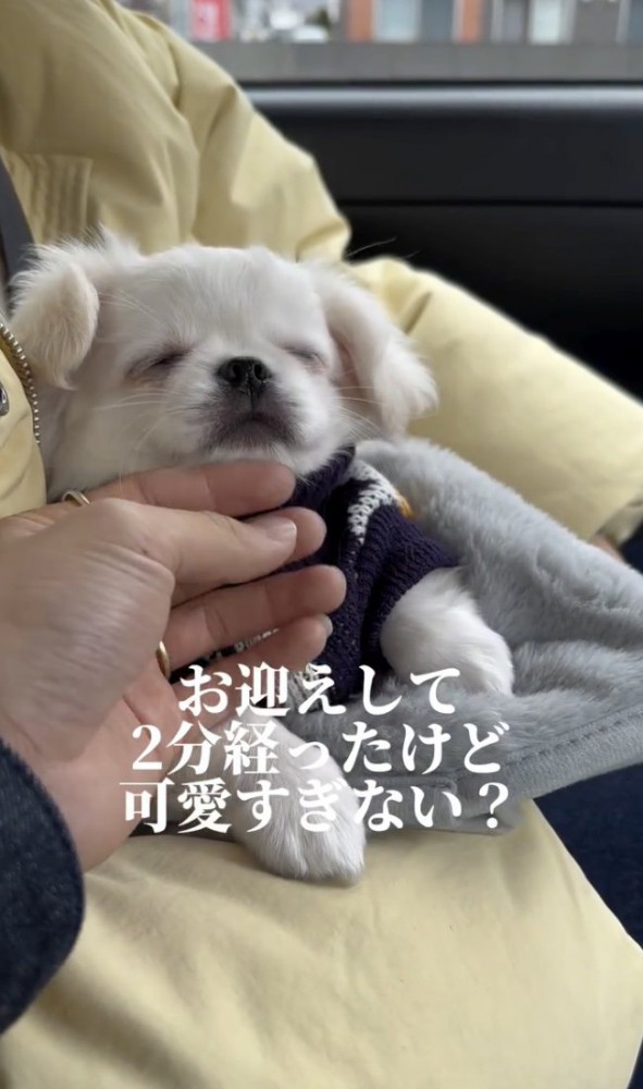 おねむ…？