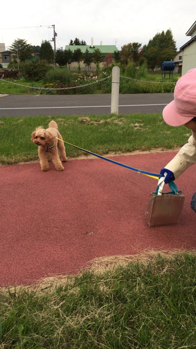 犬猿の仲