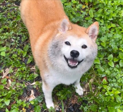 泥んこ