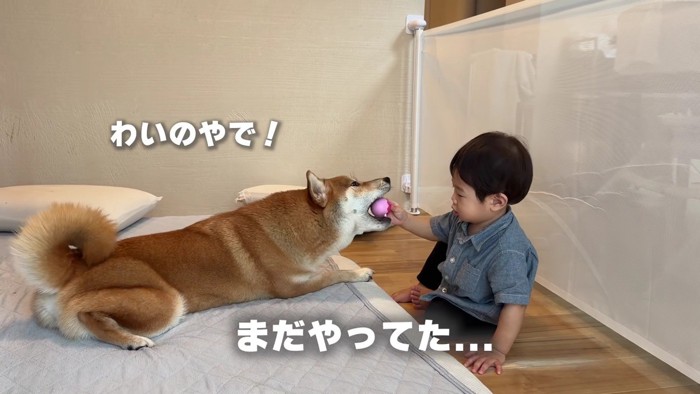 男の子が奪い返した!