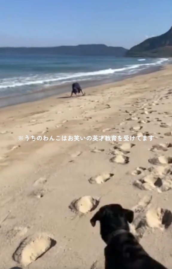 砂山を見つけたロコくん