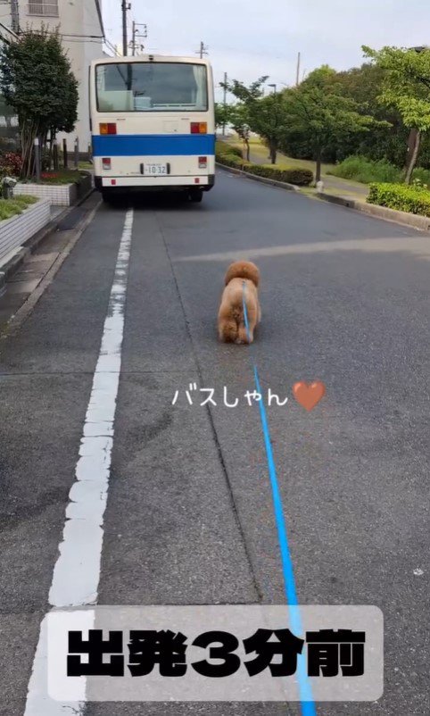 ぷぅ太郎くんと運転手さん