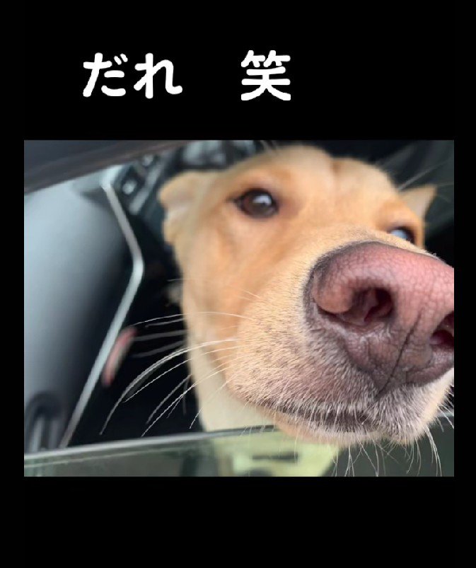 だれ…？