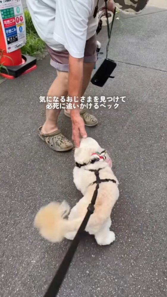 ふり返って犬を撫でる男性