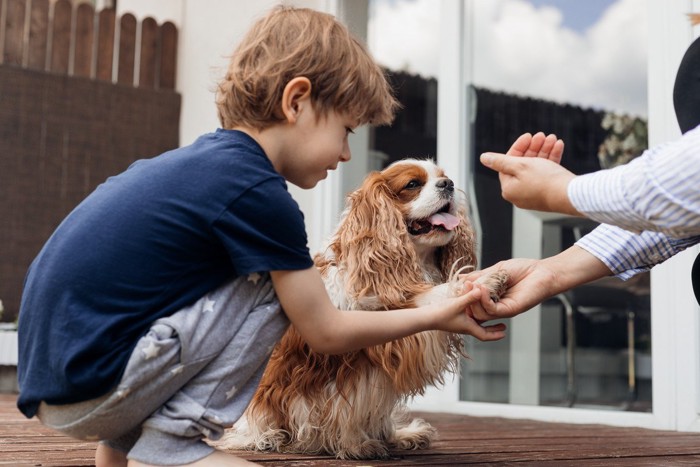 オテをしつけられる犬と少年