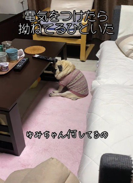 「なんで置いて行ったの…」