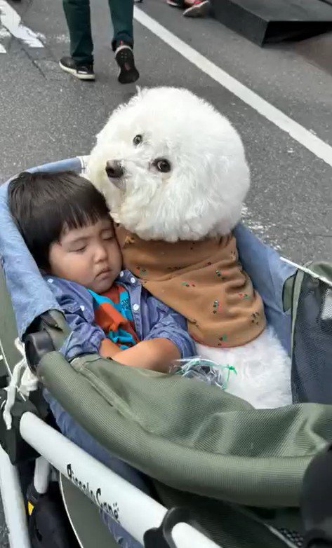 ショーンくんと子どもたち