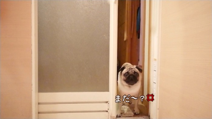 ダッシュで戻ってきて「まだ！？」と激怒