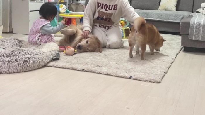 ママになでてもらっているおからちゃん