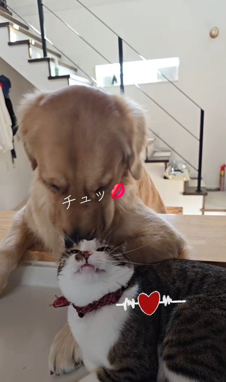 おでこにチュッ♡