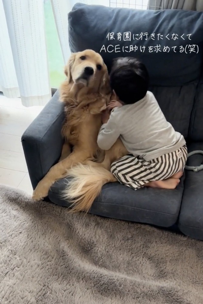 ACEくん「どしたん？」