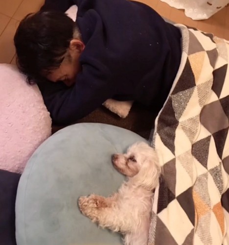 こたつに入る男性と犬