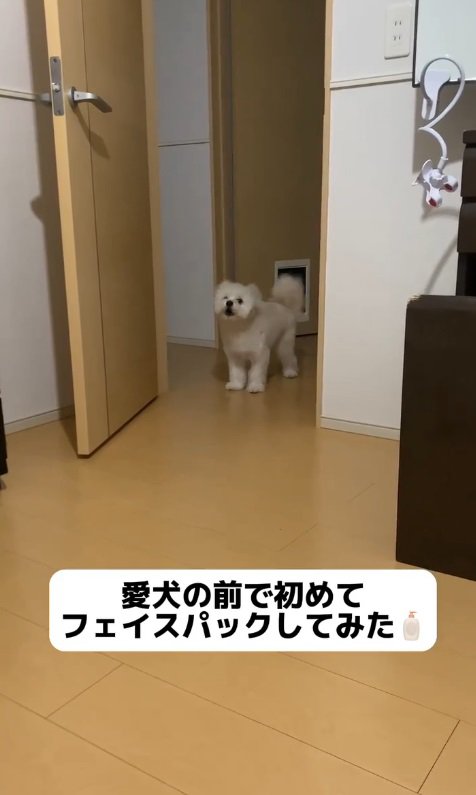 「勝手に部屋入るな！」