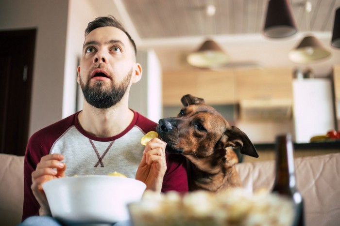 犬におやつをあげる男性