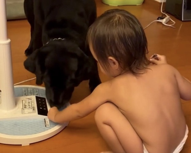 おやつをあげる子ども