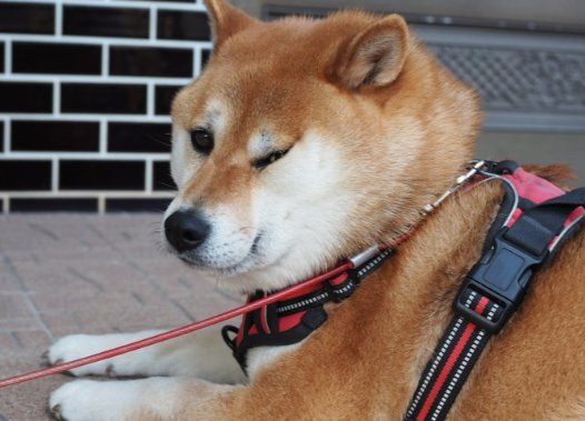 もっちり