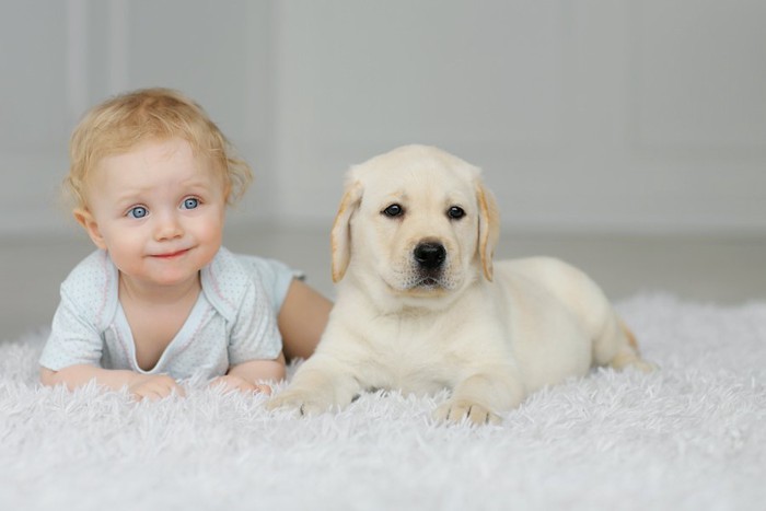 赤ちゃんと同じ格好をする子犬