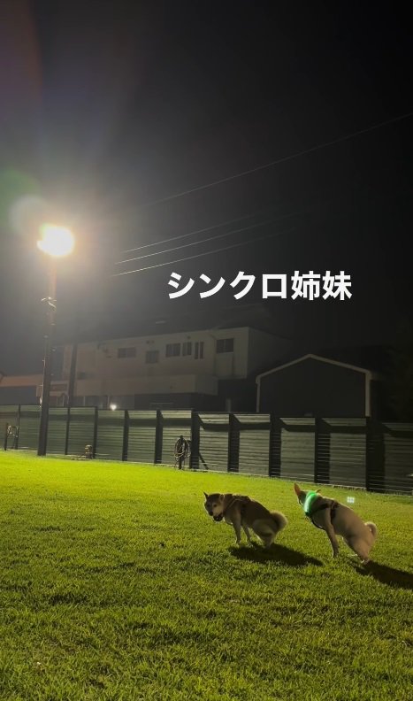 シンクロ状態でおしっこ