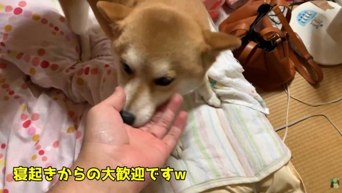 熱烈大歓迎♡