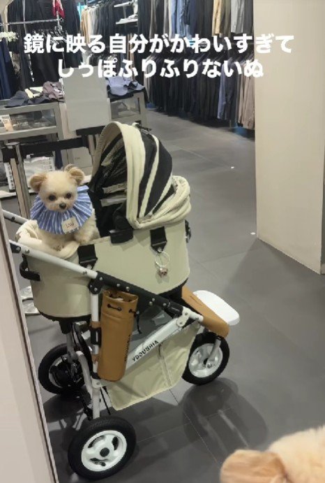 鏡の中の自分を見て…