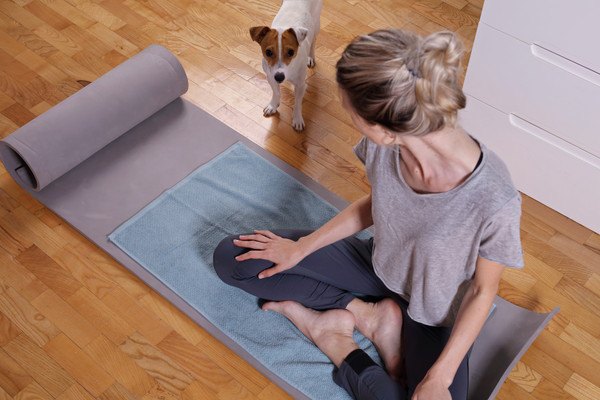 マットの上の女性と犬