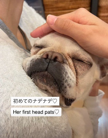 初めて愛された