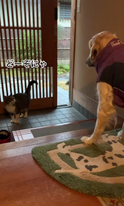 かなり及び腰