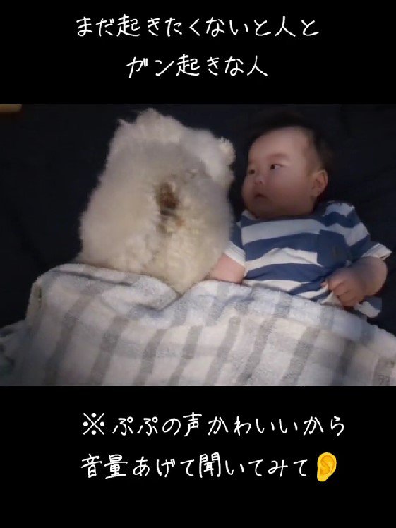 「なんでお前の方が眠いねん…」