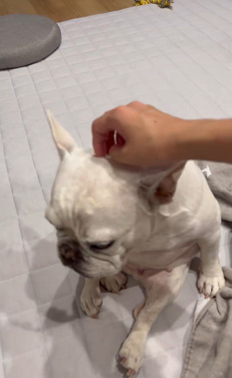 はなちゃんの体勢6