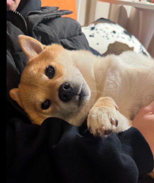 「2人とも、おめでとう！！」