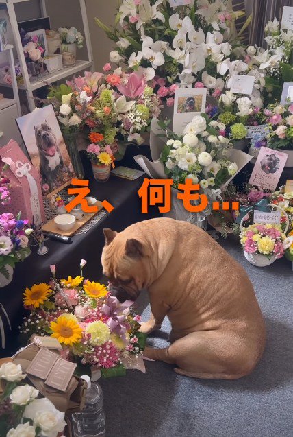 「え、何も…」