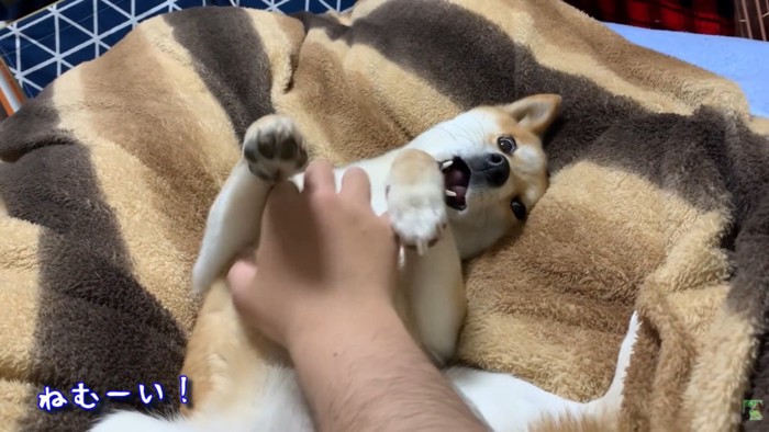 お腹をナデナデ♡