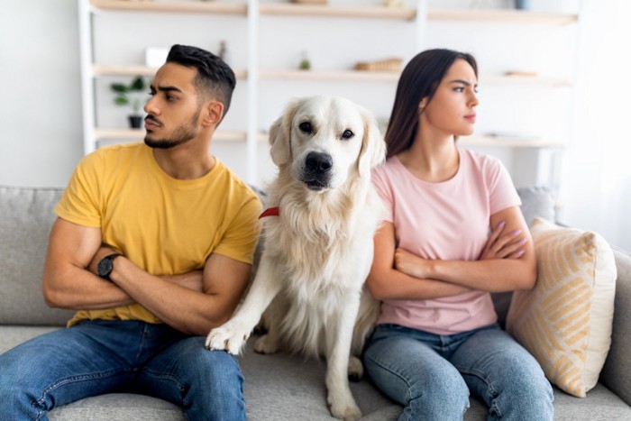 喧嘩する男女と間に入る犬