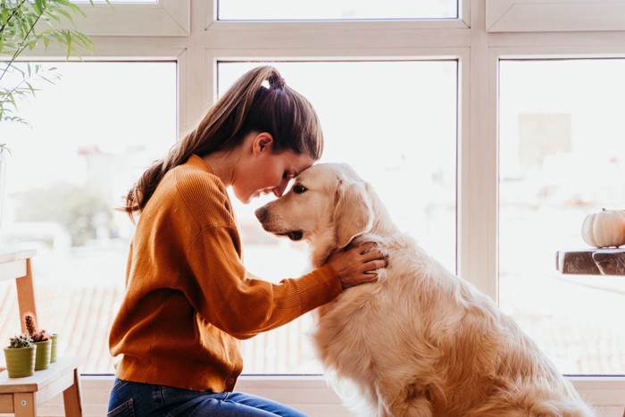 頭をくっつける女性と犬