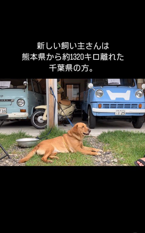 ハナちゃんと家族の出会い3