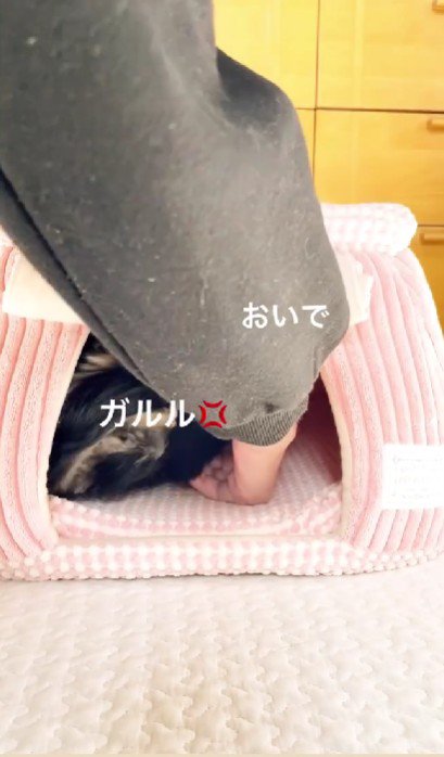 手を差しだしても…