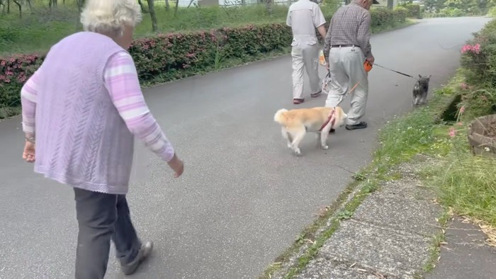 連れ立って歩く…♪