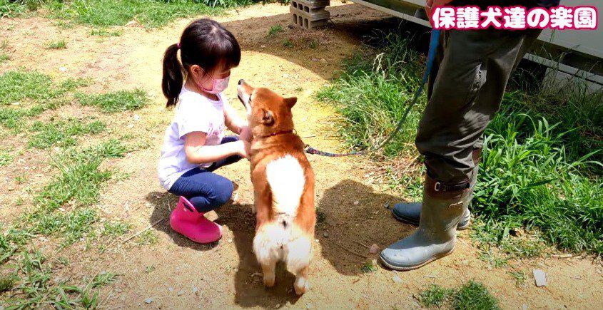 女の子と柴犬