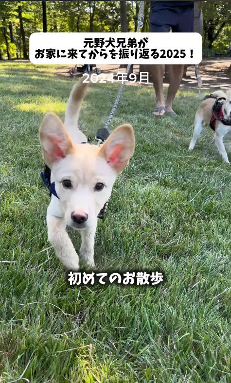 色々な初めてを経験しながら成長